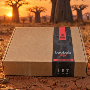 Baobab Box di ELAV chiusa, tra i baobab al tramonto