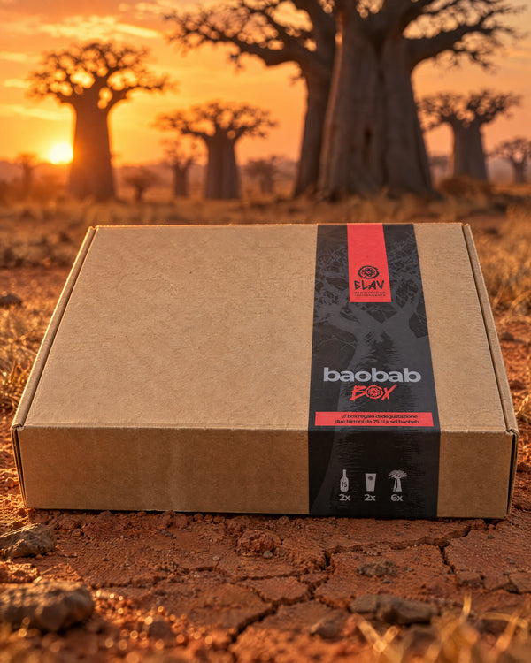Baobab Box di ELAV chiusa, tra i baobab al tramonto