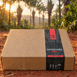 Ravenala Box di ELAV chiusa, tra le palme del viaggiatore